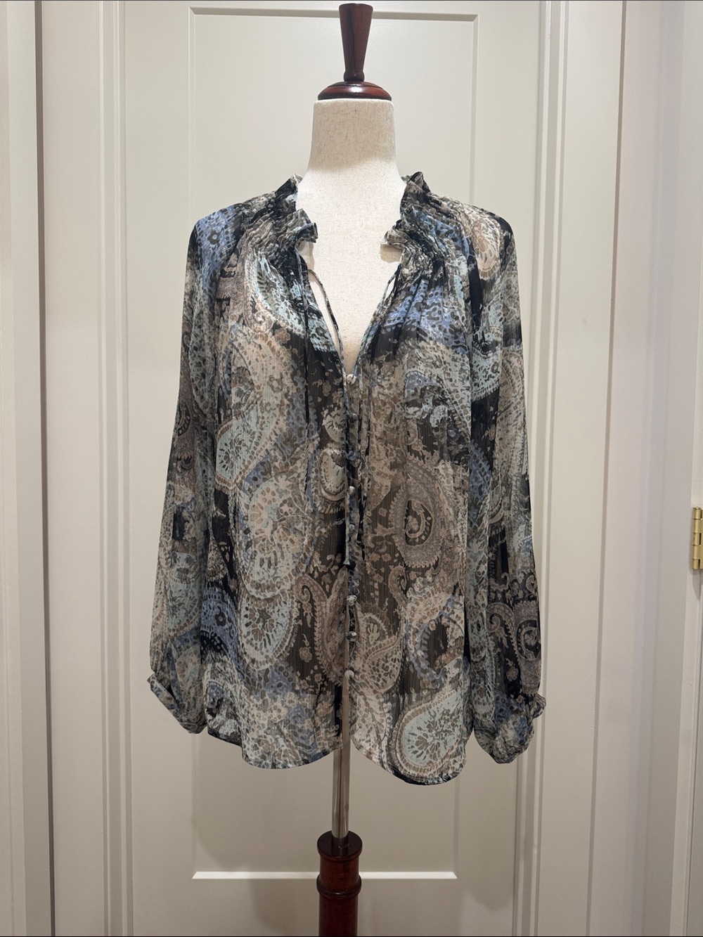 Zara Sheer Paisley-Print Long-Sleeve Blouse